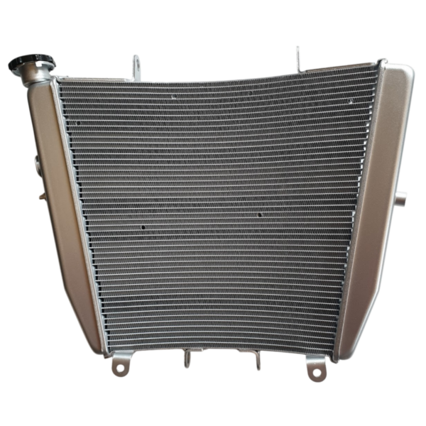 Genuine Radiator Aprilia 2B0038346